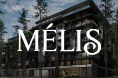 Promotional Website for Melis